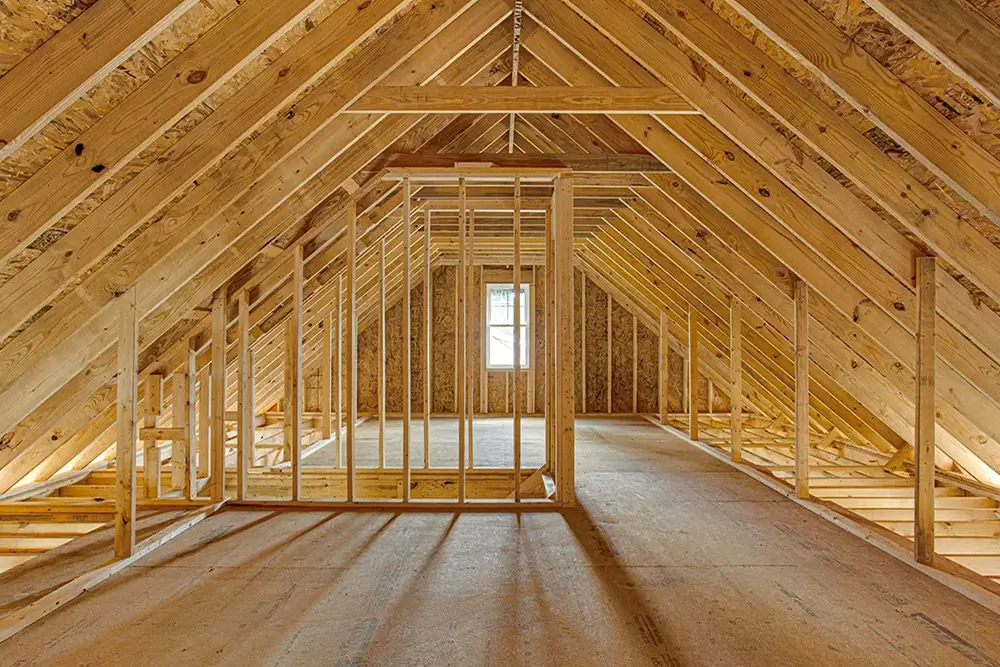 dry rot repair