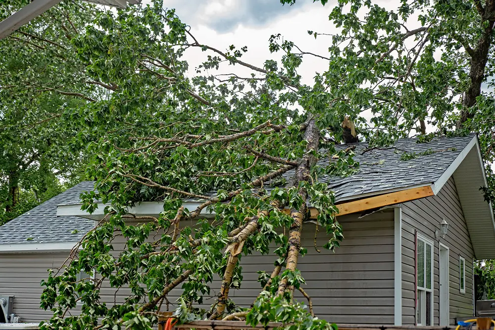 home store damage services
